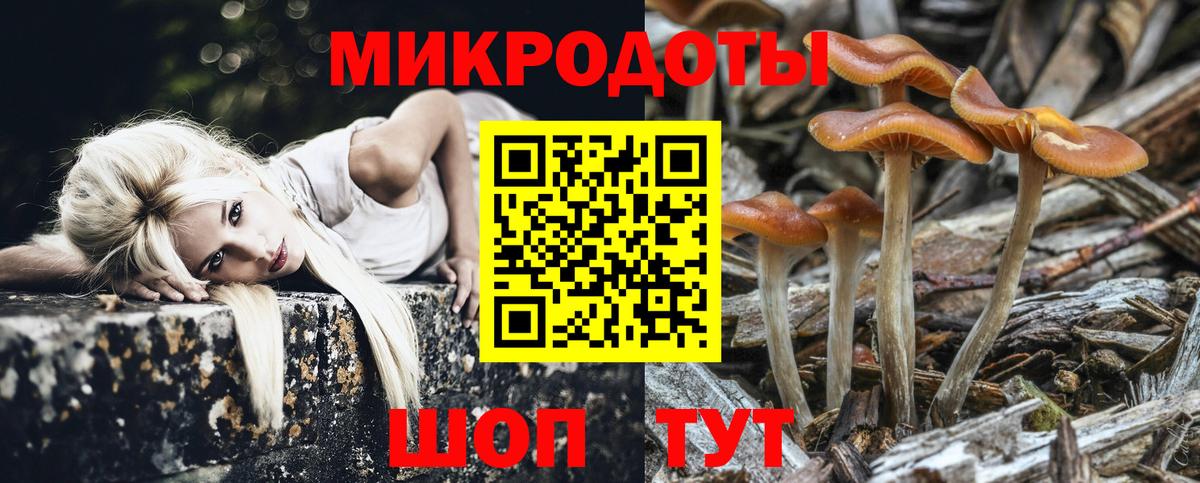 Губкин  Галлюциногенные грибы Psilocybine cubensis  как найти наркотики  Вход с VPN 
