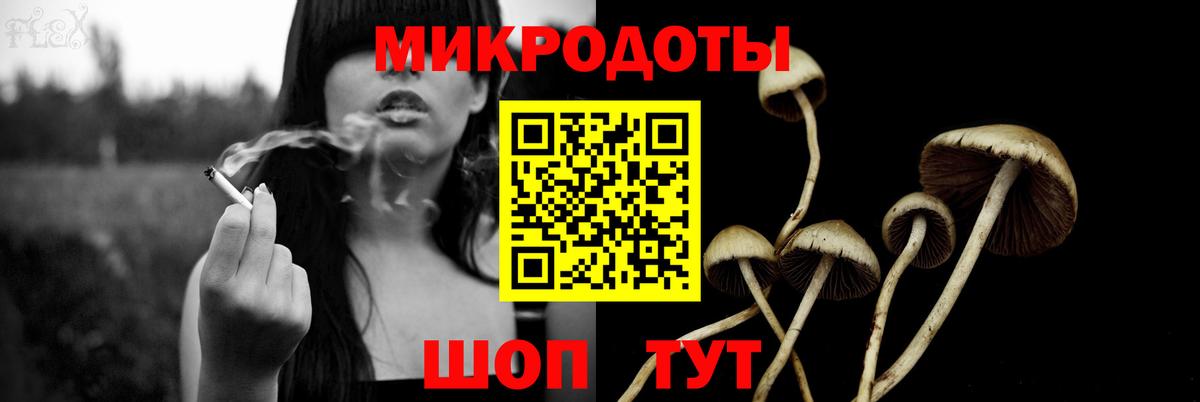 Галлюциногенные грибы ЛСД Губкин